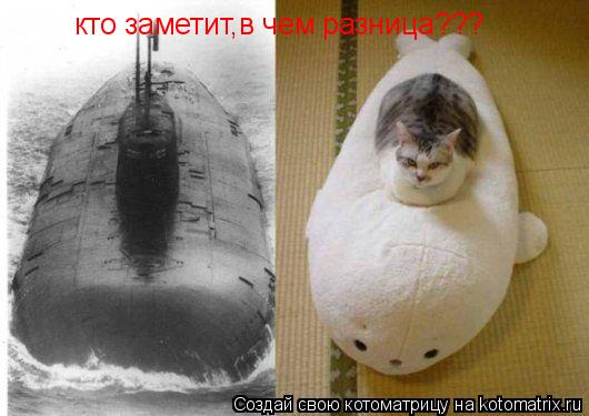 кто заметит,в чем разница???... Котоматрица: кто заметит,в чем разница???