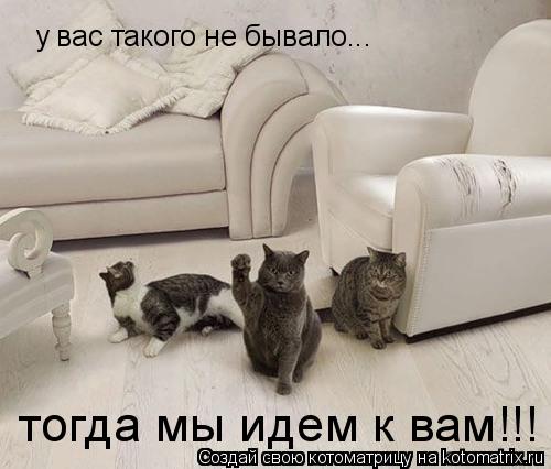 у вас такого не бывало... тогда мы идем к вам!!!... Котоматрица: у вас такого не бывало... тогда мы идем к вам!!!