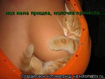 моя мама пришла, молочка принесла...... Котоматрица: моя мама пришла, молочка принесла...