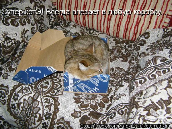 Котоматрица: Супер котЭ! Всегда влезает в любую коробку... Супер котЭ! Всегда влезает в любую коробку...