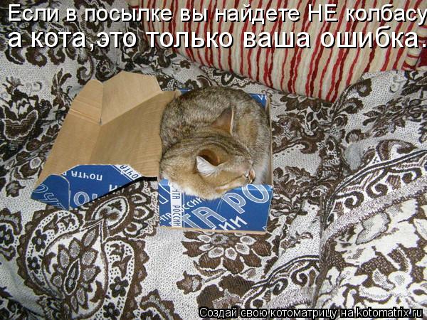 Котоматрица: Если в посылке вы найдете НЕ колбасу а кота,это только ваша ошибка.