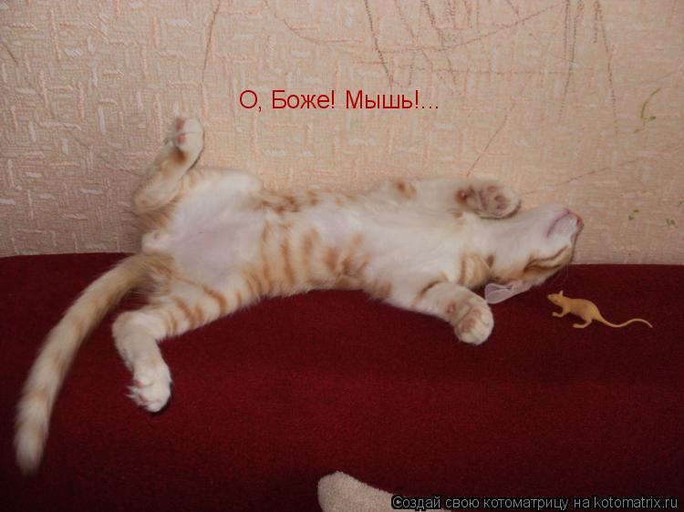 Котоматрица: О, Боже! Мышь!...