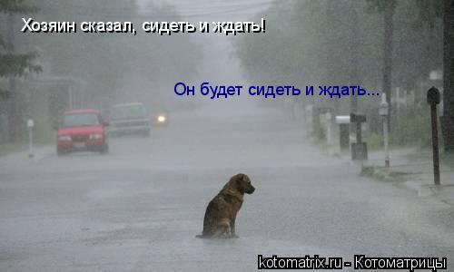 Котоматрица: Хозяин сказал, сидеть и ждать! Он будет сидеть и ждать...