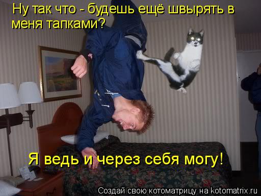 Котоматрица: Ну так что - будешь ещё швырять в меня тапками? Я ведь и через себя могу!