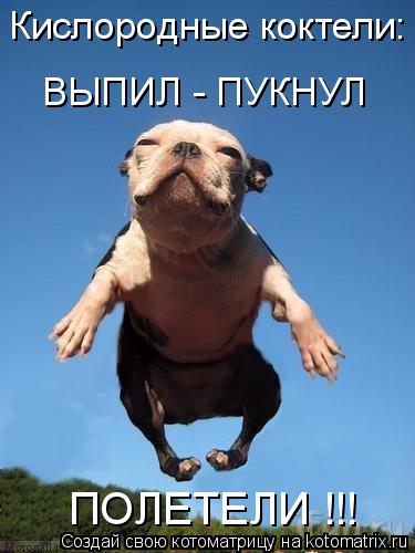 Котоматрица: Кислородные коктели: ВЫПИЛ - ПУКНУЛ ПОЛЕТЕЛИ !!!
