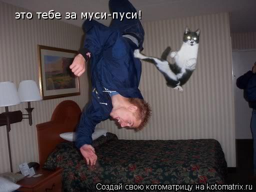 Котоматрица: это тебе за муси-пуси!