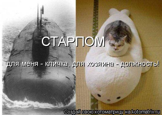 Котоматрица: СТАРПОМ для меня - кличка, для хозяина - должность!