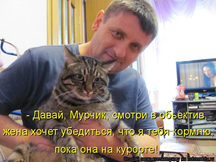 Котоматрица: - Давай, Мурчик, смотри в обьектив, жена хочет убедиться, что я тебя кормлю, пока она на курорте!