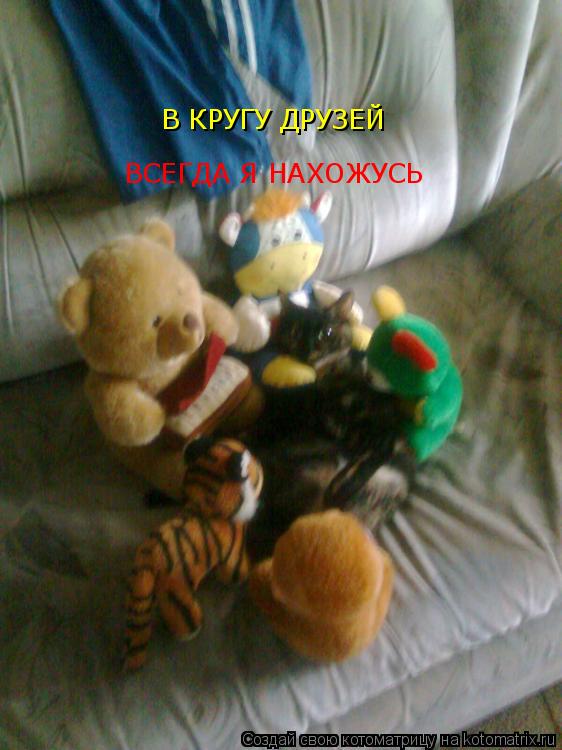 В КРУГУ ДРУЗЕЙ ВСЕГДА Я НАХОЖУСЬ... Котоматрица: В КРУГУ ДРУЗЕЙ ВСЕГДА Я НАХОЖУСЬ