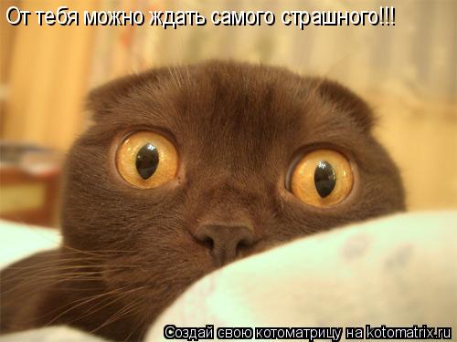 От тебя можно ждать самого страшного!!!... Котоматрица: От тебя можно ждать самого страшного!!!