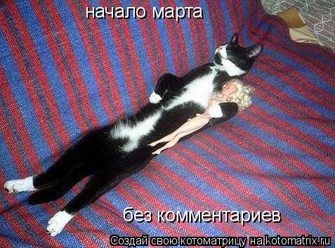начало марта без комментариев... Котоматрица: начало марта без комментариев