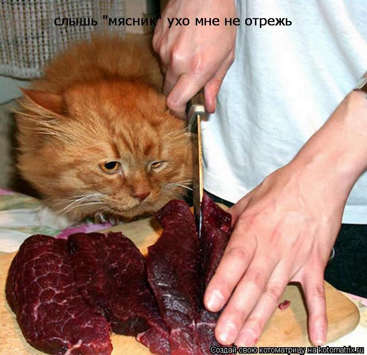 слышь "мясник" ухо мне не отрежь слышь "мясник" ухо мне не отрежь... Котоматрица: слышь "мясник" ухо мне не отрежь слышь "мясник" ухо мне не отрежь