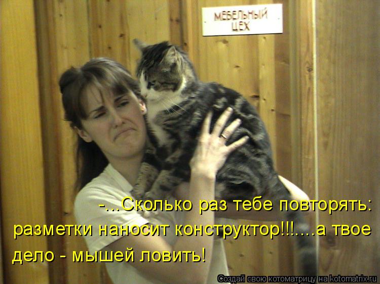 -...Сколько раз тебе повторять: разметки наносит конструктор!!!....а твое дело - мышей ловить!... Котоматрица: -...Сколько раз тебе повторять: разметки наносит конструктор!!!....а твое дело - мышей ловить!