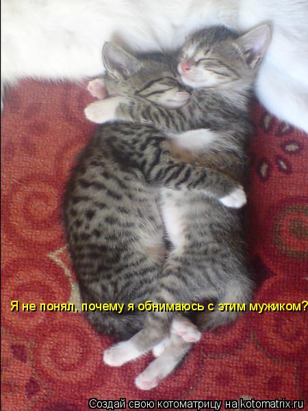 Я не понял, почему я обнимаюсь с этим мужиком?... Котоматрица: Я не понял, почему я обнимаюсь с этим мужиком?