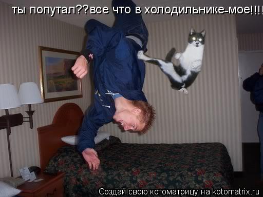 ты попутал??все что в холодильнике мое ты попутал??все что в холодильнике мое !!!! -... Котоматрица: ты попутал??все что в холодильнике мое ты попутал??все что в холодильнике мое !!!! -