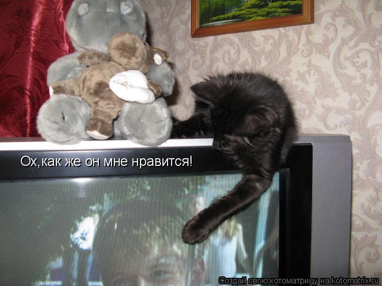 Ох,как же он мне нравится!... Котоматрица: Ох,как же он мне нравится!