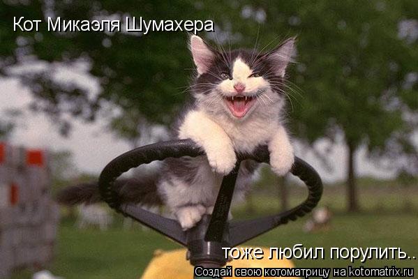 Кот Микаэля Шумахера тоже любил порулить...... Котоматрица: Кот Микаэля Шумахера тоже любил порулить...