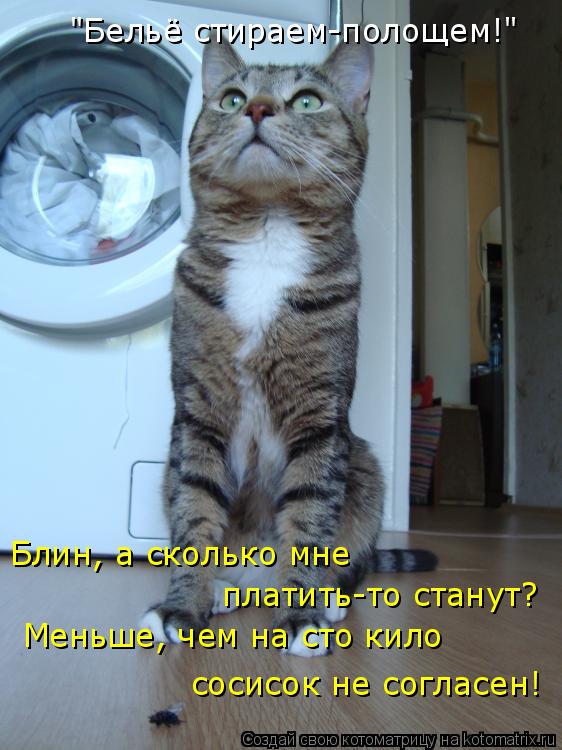"Бельё стираем-полощем!" Блин, а сколько мне платить-то станут? Меньше, чем на сто кило сосисок не ... Котоматрица: "Бельё стираем-полощем!" Блин, а сколько мне платить-то станут? Меньше, чем на сто кило сосисок не согласен!