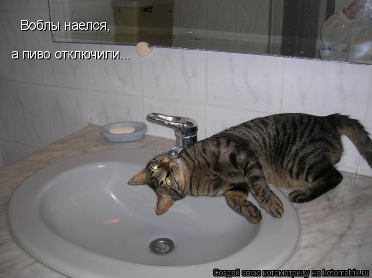 Воблы наелся, а пиво отключили...... Котоматрица: Воблы наелся, а пиво отключили...
