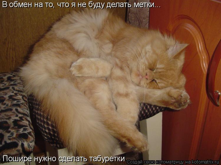 В обмен на то, что я не буду делать метки... Пошире нужно сделать табуретки... Котоматрица: В обмен на то, что я не буду делать метки... Пошире нужно сделать табуретки