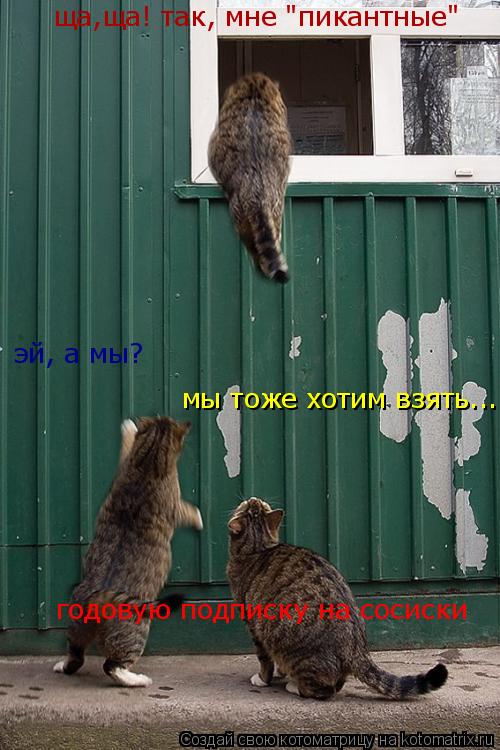 эй, а мы? мы тоже хотим взять... годовую подписку на сосиски ща,ща! так, мне "пикантные"... Котоматрица: эй, а мы? мы тоже хотим взять... годовую подписку на сосиски ща,ща! так, мне "пикантные"
