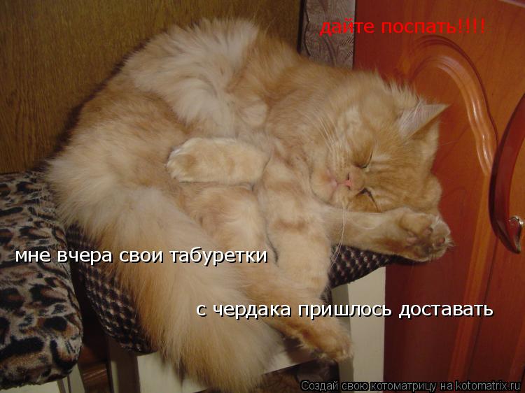 дайте поспать!!!! мне вчера свои табуретки с чердака пришлось доставать... Котоматрица: дайте поспать!!!! мне вчера свои табуретки с чердака пришлось доставать