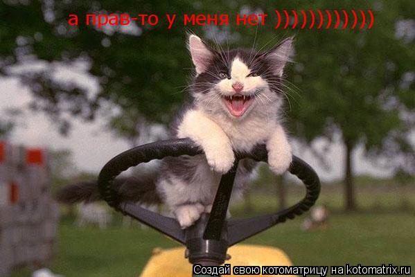 а прав-то у меня нет ))))))))))))... Котоматрица: а прав-то у меня нет ))))))))))))