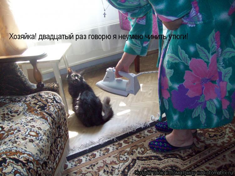 Хозяйка! двадцатый раз говорю я неумею чинить утюги!... Котоматрица: Хозяйка! двадцатый раз говорю я неумею чинить утюги!