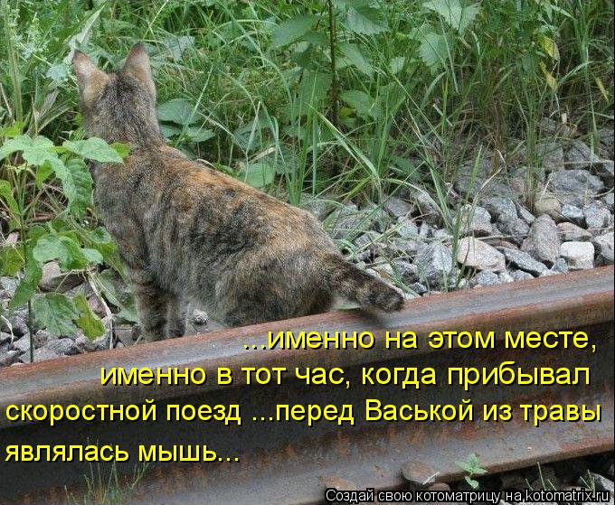 ...именно на этом месте, именно в тот час, когда прибывал скоростной поезд ...перед Васькой из трав... Котоматрица: ...именно на этом месте, именно в тот час, когда прибывал скоростной поезд ...перед Васькой из травы являлась мышь...