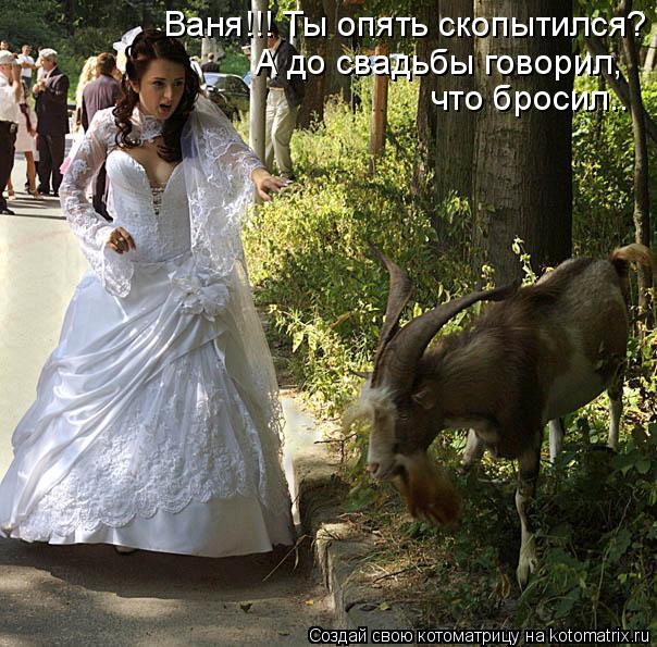 Ваня!!! Ты опять скопытился? А до свадьбы говорил, что бросил..... Котоматрица: Ваня!!! Ты опять скопытился? А до свадьбы говорил, что бросил..