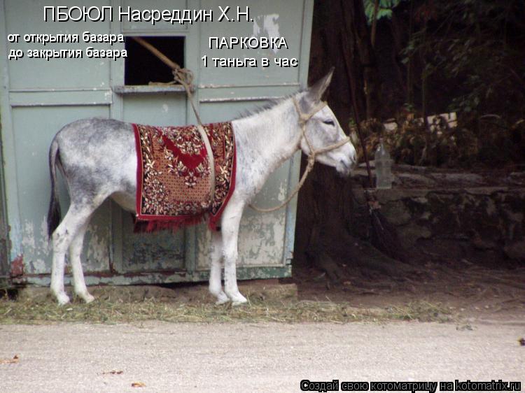 ПБОЮЛ Насреддин Х.Н. от открытия базара до закрытия базара ПАРКОВКА 1 таньга в час... Котоматрица: ПБОЮЛ Насреддин Х.Н. от открытия базара до закрытия базара ПАРКОВКА 1 таньга в час
