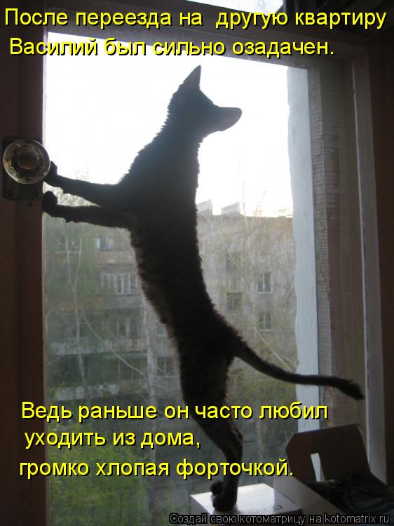 После переезда на другую квартиру Василий был сильно озадачен. Ведь раньше он часто любил уходить из... Котоматрица: После переезда на другую квартиру Василий был сильно озадачен. Ведь раньше он часто любил уходить из дома, громко хлопая форточкой.