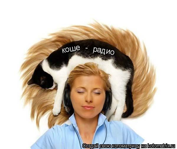 коше радио -... Котоматрица: коше радио -