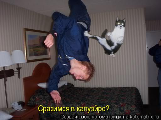 Сразимся в капуэйро?... Котоматрица: Сразимся в капуэйро?