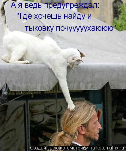 А я ведь предупреждал: "Где хочешь найду и тыковку почууууухаююю"... Котоматрица: А я ведь предупреждал: "Где хочешь найду и тыковку почууууухаююю"