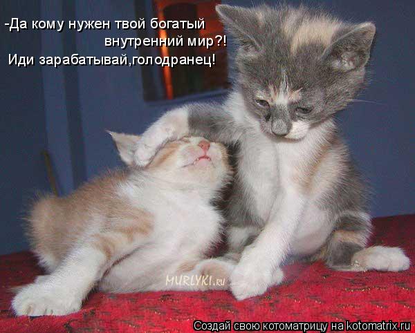 -Да кому нужен твой богатый внутренний мир?! Иди зарабатывай,голодранец!... Котоматрица: -Да кому нужен твой богатый внутренний мир?! Иди зарабатывай,голодранец!