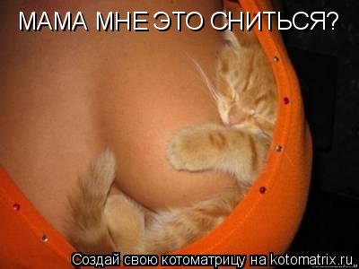 МАМА МНЕ ЭТО СНИТЬСЯ?... Котоматрица: МАМА МНЕ ЭТО СНИТЬСЯ?