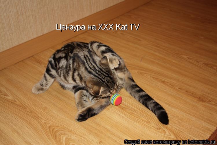 Котоматрица: Цензура на XXX Kat TV