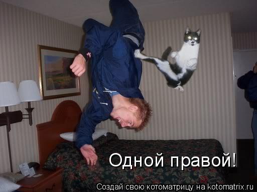 Одной правой!... Котоматрица: Одной правой!