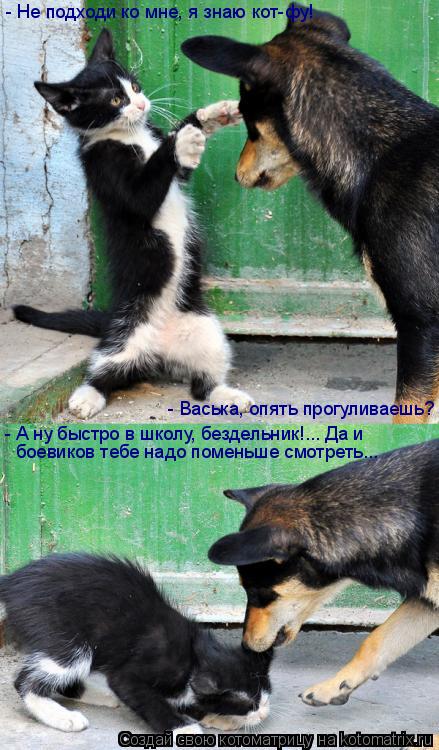 - Васька, опять прогуливаешь? - Не подходи ко мне, я знаю кот-фу! - А ну быстро в школу, бездельник!.... Котоматрица: - Васька, опять прогуливаешь? - Не подходи ко мне, я знаю кот-фу! - А ну быстро в школу, бездельник!... Да и боевиков тебе надо поменьше смотреть...