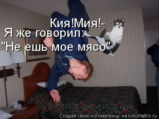 Кия!Мия!- Я же говорил: "Не ешь мое мясо"... Котоматрица: Кия!Мия!- Я же говорил: "Не ешь мое мясо"