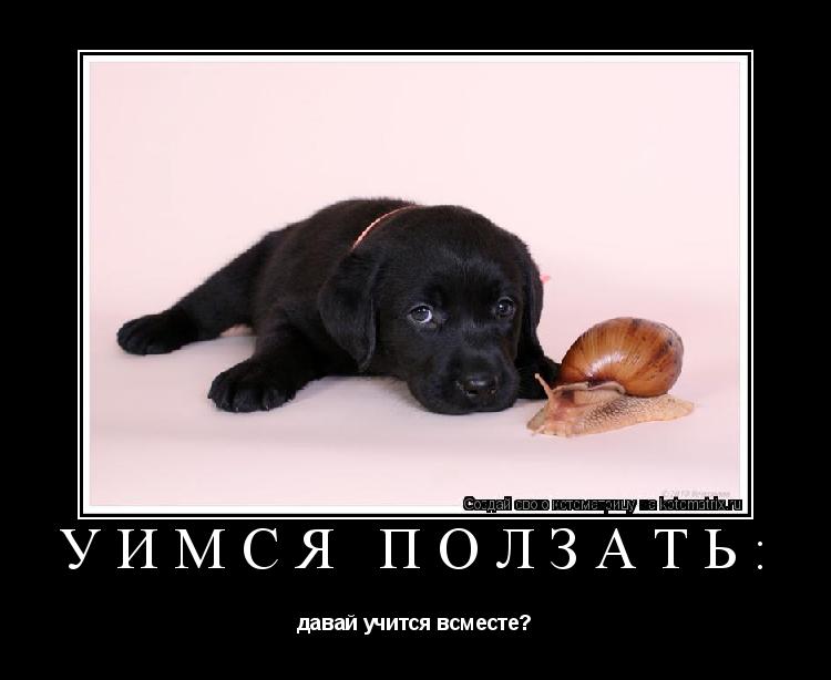 Уимся ползать: давай учится всместе?... Котоматрица: Уимся ползать: давай учится всместе?