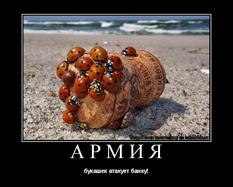 Котоматрица: Армия букашек атакует банку!