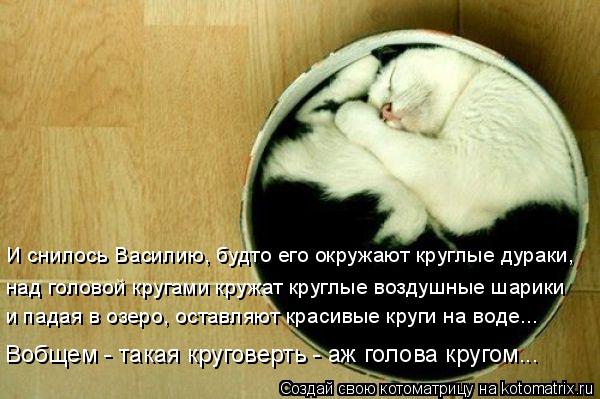 И снилось Василию, будто его окружают круглые дураки, над головой кругами кружат круглые воздушные ш... Котоматрица: И снилось Василию, будто его окружают круглые дураки, над головой кругами кружат круглые воздушные шарики и падая в озеро, оставляют краси