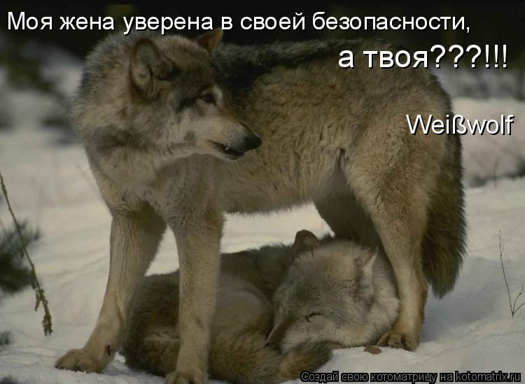 Моя жена уверена в своей безопасности, а твоя???!!! Weißwolf... Котоматрица: Моя жена уверена в своей безопасности, а твоя???!!! Weißwolf