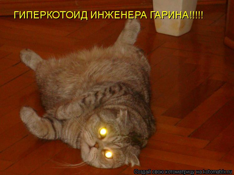 ГИПЕРКОТОИД ИНЖЕНЕРА ГАРИНА!!!!!... Котоматрица: ГИПЕРКОТОИД ИНЖЕНЕРА ГАРИНА!!!!!