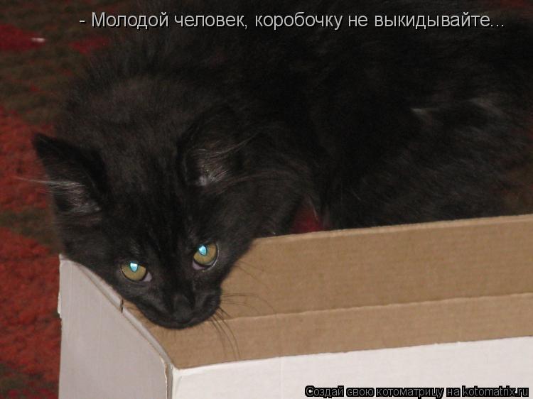 - Молодой человек, коробочку не выкидывайте...... Котоматрица: - Молодой человек, коробочку не выкидывайте...