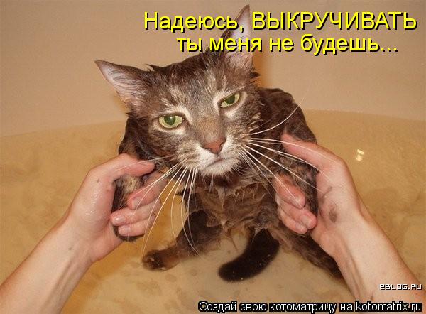 Надеюсь, ВЫКРУЧИВАТЬ ты меня не будешь...... Котоматрица: Надеюсь, ВЫКРУЧИВАТЬ ты меня не будешь...