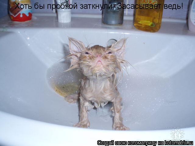 Котоматрица: Хоть бы пробкой заткнули. Засасывает ведь!