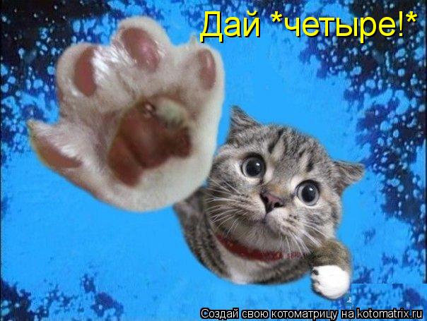 Дай *четыре!*... Котоматрица: Дай *четыре!*
